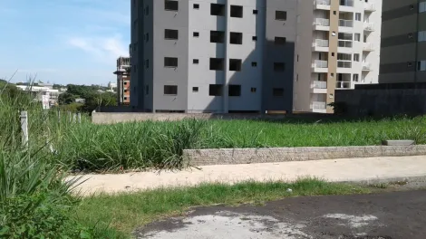 Comprar Terreno / &Aacute;rea em S&atilde;o Jos&eacute; do Rio Preto R$ 1.870.000,00 - Foto 4