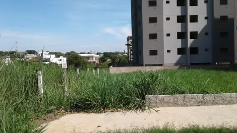 Comprar Terreno / &Aacute;rea em S&atilde;o Jos&eacute; do Rio Preto R$ 1.870.000,00 - Foto 6