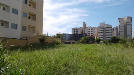 Comprar Terreno / &Aacute;rea em S&atilde;o Jos&eacute; do Rio Preto R$ 1.404.000,00 - Foto 6