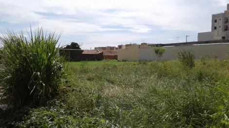 Comprar Terreno / &Aacute;rea em S&atilde;o Jos&eacute; do Rio Preto R$ 1.404.000,00 - Foto 3