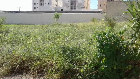 Comprar Terreno / &Aacute;rea em S&atilde;o Jos&eacute; do Rio Preto R$ 1.404.000,00 - Foto 4
