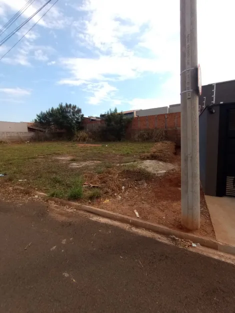 Comprar Terreno / Padr&atilde;o em Bady Bassitt R$ 80.000,00 - Foto 3