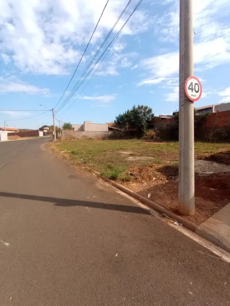 Comprar Terreno / Padr&atilde;o em Bady Bassitt R$ 80.000,00 - Foto 4
