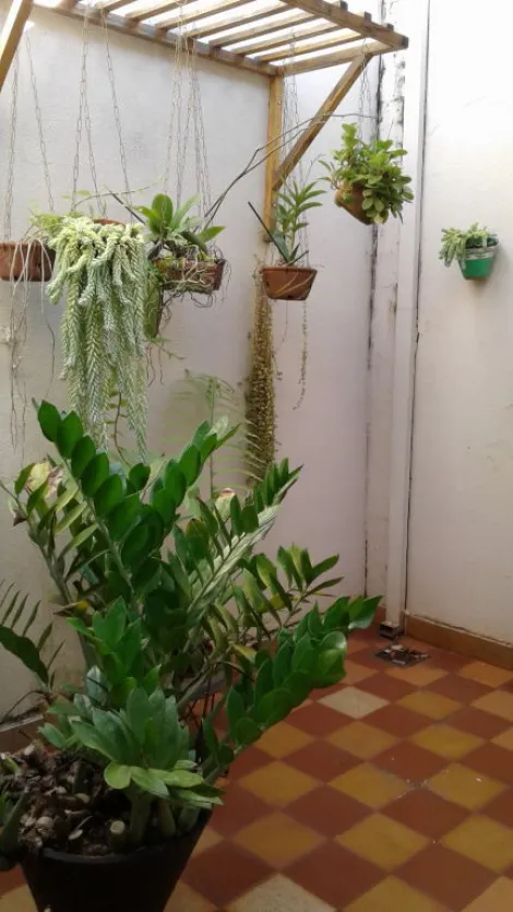 Comprar Casa / Padr&atilde;o em S&atilde;o Jos&eacute; do Rio Preto R$ 600.000,00 - Foto 10