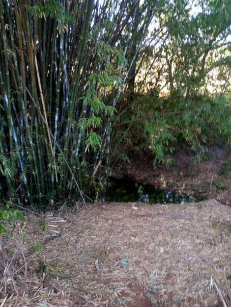 Comprar Rural / S&iacute;tio em Poloni R$ 1.400.000,00 - Foto 11