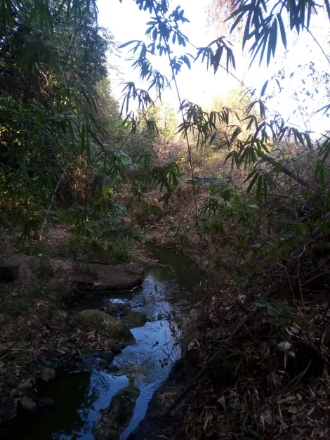 Comprar Rural / S&iacute;tio em Poloni R$ 1.400.000,00 - Foto 13