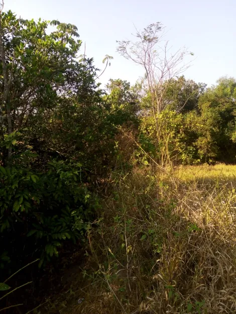 Comprar Rural / S&iacute;tio em Poloni R$ 1.400.000,00 - Foto 14