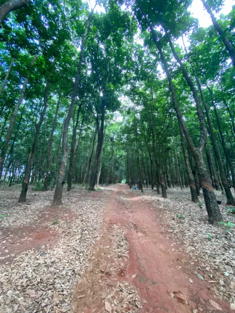Rural / S&iacute;tio em Poloni 
