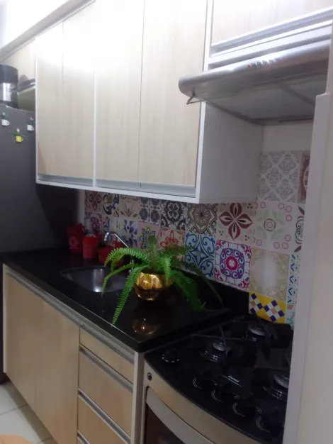 Comprar Apartamento / Padr&atilde;o em S&atilde;o Jos&eacute; do Rio Preto R$ 280.000,00 - Foto 5