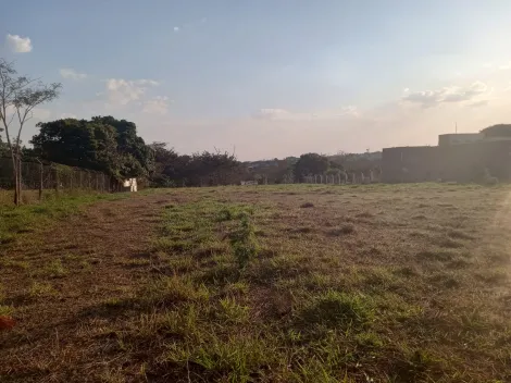 Comprar Terreno / &Aacute;rea em S&atilde;o Jos&eacute; do Rio Preto R$ 700.000,00 - Foto 3