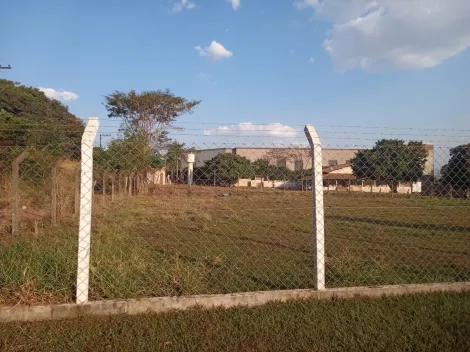 Comprar Terreno / &Aacute;rea em S&atilde;o Jos&eacute; do Rio Preto R$ 700.000,00 - Foto 4