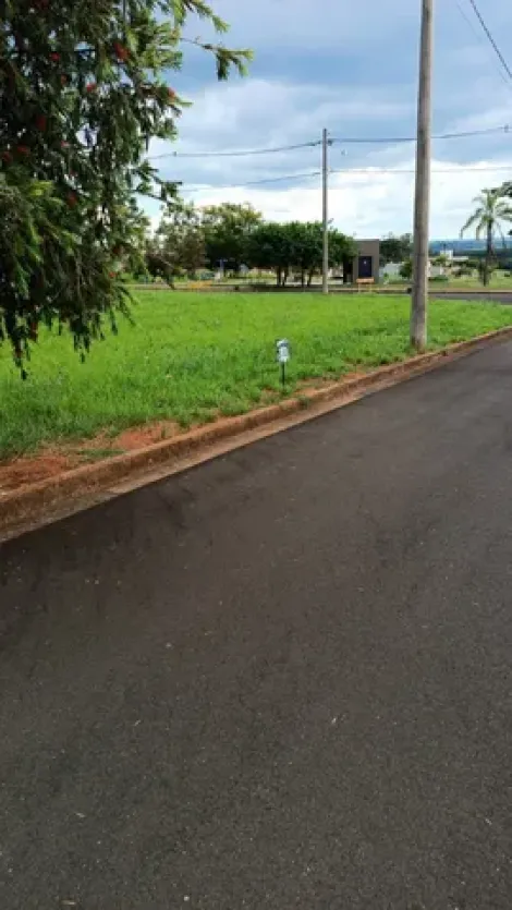Alugar Terreno / Condom&iacute;nio em Ipigu&aacute;. apenas R$ 111.000,00