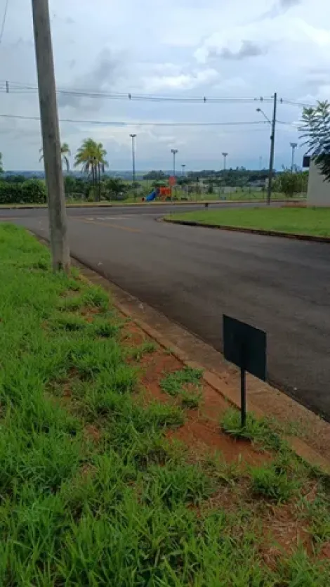 Comprar Terreno / Condom&iacute;nio em Ipigu&aacute; R$ 111.000,00 - Foto 3