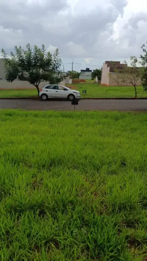 Comprar Terreno / Condom&iacute;nio em Ipigu&aacute; R$ 111.000,00 - Foto 4