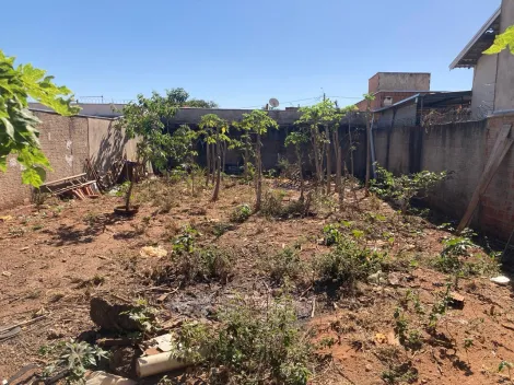 Alugar Terreno / Padr&atilde;o em S&atilde;o Jos&eacute; do Rio Preto. apenas R$ 120.000,00