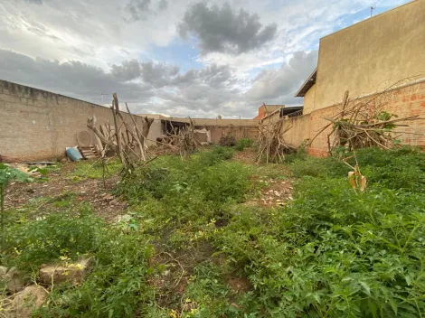 Comprar Terreno / Padr&atilde;o em S&atilde;o Jos&eacute; do Rio Preto R$ 120.000,00 - Foto 2