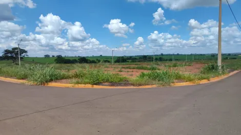 Terreno / Padr&atilde;o em S&atilde;o Jos&eacute; do Rio Preto 
