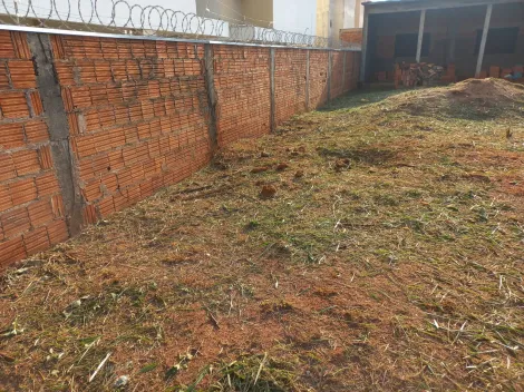 Comprar Terreno / Padr&atilde;o em S&atilde;o Jos&eacute; do Rio Preto R$ 270.000,00 - Foto 4