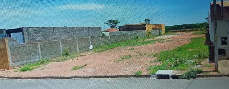 Terreno / Padr&atilde;o em Adolfo 
