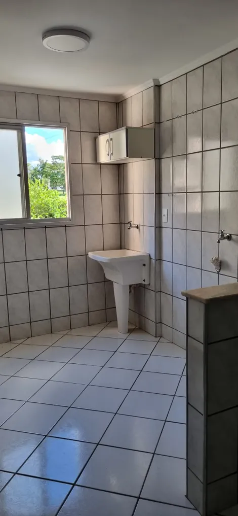 Alugar Apartamento / Padr&atilde;o em S&atilde;o Jos&eacute; do Rio Preto R$ 1.200,00 - Foto 11