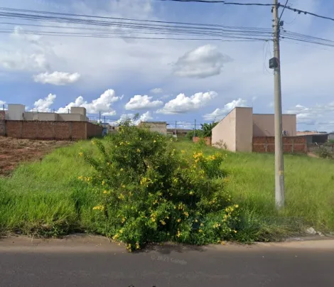 Terreno / Padr&atilde;o em S&atilde;o Jos&eacute; do Rio Preto 