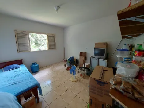 Comprar Rural / Ch&aacute;cara em S&atilde;o Jos&eacute; do Rio Preto R$ 1.000.000,00 - Foto 18