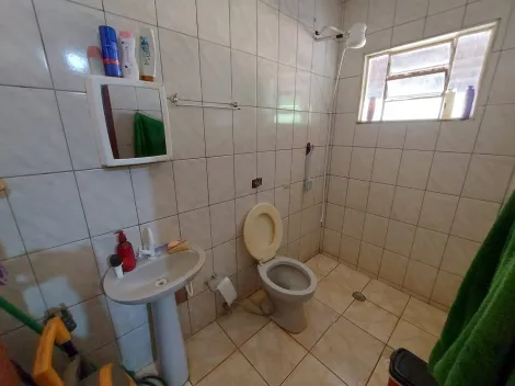 Comprar Rural / Ch&aacute;cara em S&atilde;o Jos&eacute; do Rio Preto R$ 1.000.000,00 - Foto 20