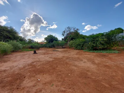 Comprar Rural / Ch&aacute;cara em S&atilde;o Jos&eacute; do Rio Preto R$ 1.000.000,00 - Foto 23