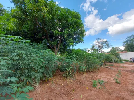 Comprar Rural / Ch&aacute;cara em S&atilde;o Jos&eacute; do Rio Preto R$ 1.000.000,00 - Foto 26