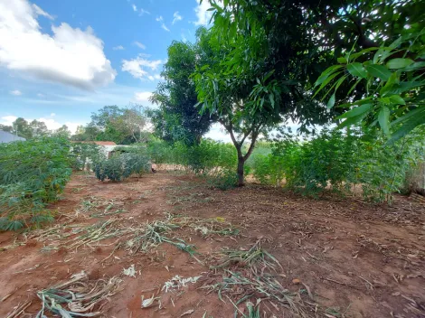 Comprar Rural / Ch&aacute;cara em S&atilde;o Jos&eacute; do Rio Preto R$ 1.000.000,00 - Foto 27
