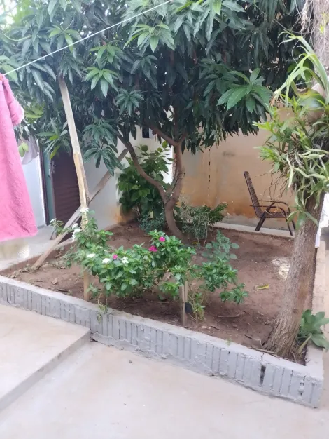 Comprar Casa / Padr&atilde;o em Mirassol R$ 226.000,00 - Foto 13