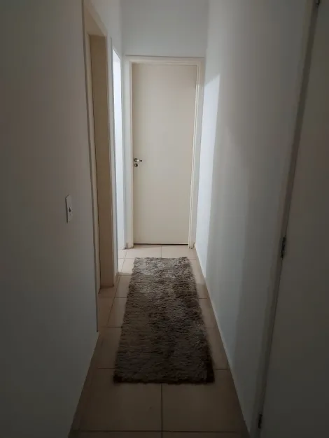 Alugar Apartamento / Padr&atilde;o em S&atilde;o Jos&eacute; do Rio Preto R$ 1.000,00 - Foto 5
