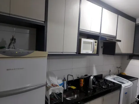 Alugar Apartamento / Padr&atilde;o em S&atilde;o Jos&eacute; do Rio Preto R$ 1.000,00 - Foto 11