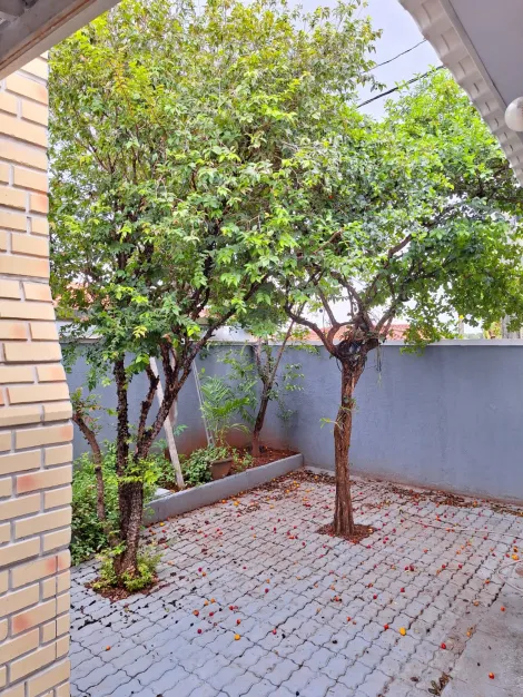 Comprar Casa / Condom&iacute;nio em S&atilde;o Jos&eacute; do Rio Preto R$ 550.000,00 - Foto 5