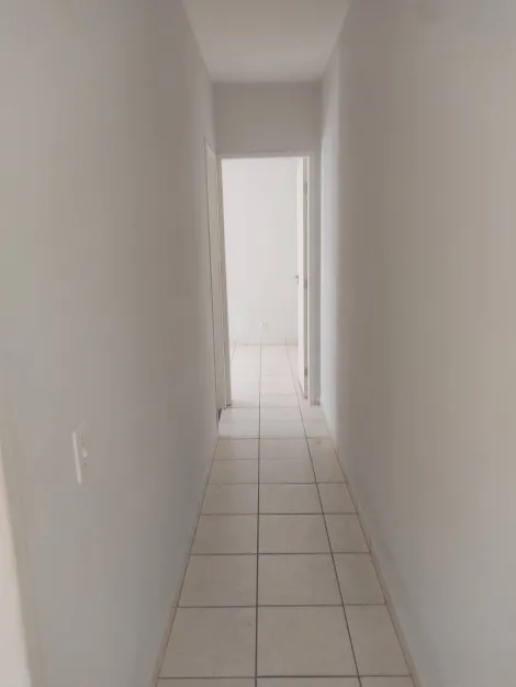 Alugar Apartamento / Padr&atilde;o em S&atilde;o Jos&eacute; do Rio Preto R$ 900,00 - Foto 5
