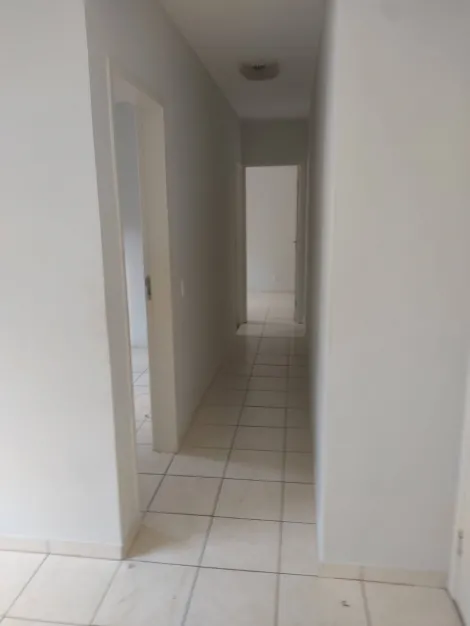 Alugar Apartamento / Padr&atilde;o em S&atilde;o Jos&eacute; do Rio Preto R$ 900,00 - Foto 11