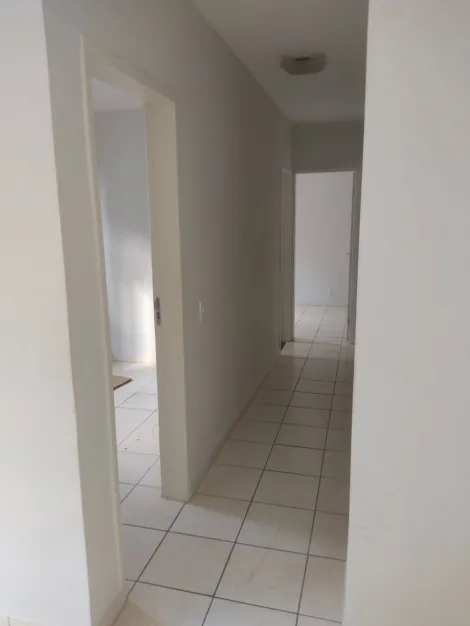 Alugar Apartamento / Padr&atilde;o em S&atilde;o Jos&eacute; do Rio Preto R$ 900,00 - Foto 12