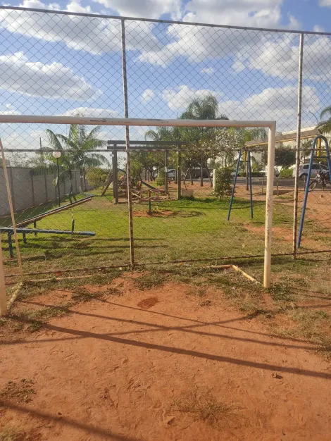 Alugar Apartamento / Padr&atilde;o em S&atilde;o Jos&eacute; do Rio Preto R$ 900,00 - Foto 14