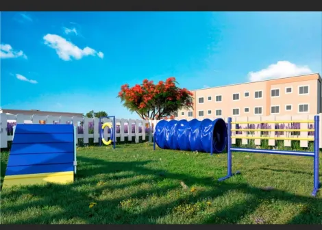 Comprar Apartamento / Padr&atilde;o em S&atilde;o Jos&eacute; do Rio Preto R$ 260.000,00 - Foto 11