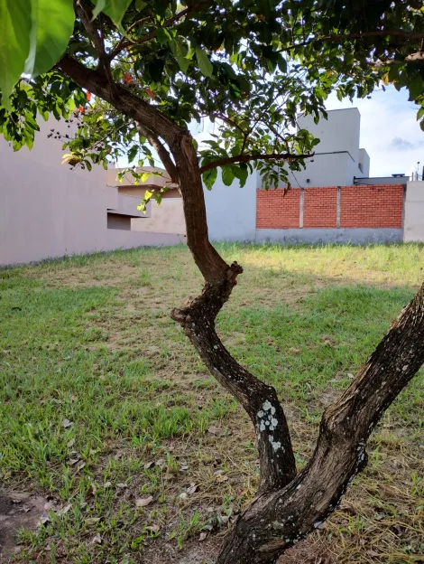 Comprar Terreno / Condom&iacute;nio em S&atilde;o Jos&eacute; do Rio Preto R$ 190.000,00 - Foto 2