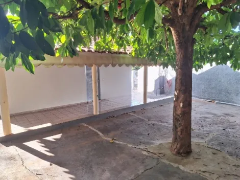 Alugar Casa / Padr&atilde;o em S&atilde;o Jos&eacute; do Rio Preto R$ 1.400,00 - Foto 10