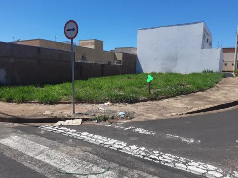 Terreno / Padr&atilde;o em S&atilde;o Jos&eacute; do Rio Preto 