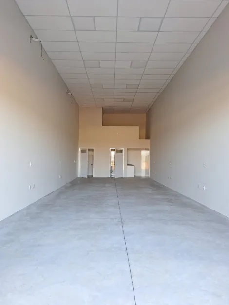 Alugar Comercial / Sal&atilde;o em S&atilde;o Jos&eacute; do Rio Preto R$ 4.000,00 - Foto 2