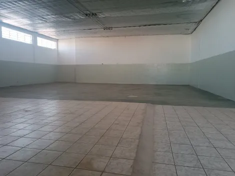 Alugar Comercial / Sal&atilde;o em S&atilde;o Jos&eacute; do Rio Preto R$ 7.000,00 - Foto 3