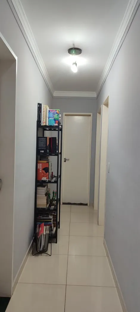 Alugar Apartamento / Padr&atilde;o em S&atilde;o Jos&eacute; do Rio Preto R$ 1.400,00 - Foto 8
