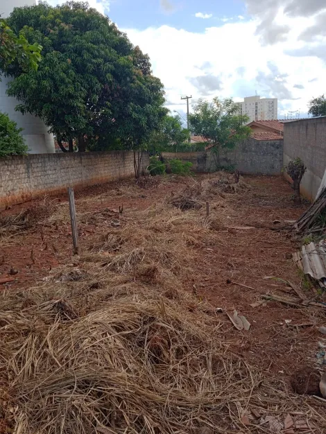 Comprar Terreno / Padr&atilde;o em S&atilde;o Jos&eacute; do Rio Preto R$ 215.000,00 - Foto 2