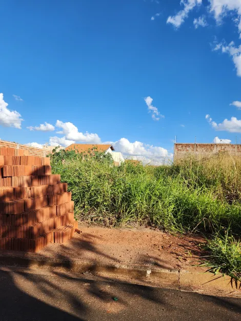 Alugar Terreno / Padr&atilde;o em S&atilde;o Jos&eacute; do Rio Preto. apenas R$ 99.000,00