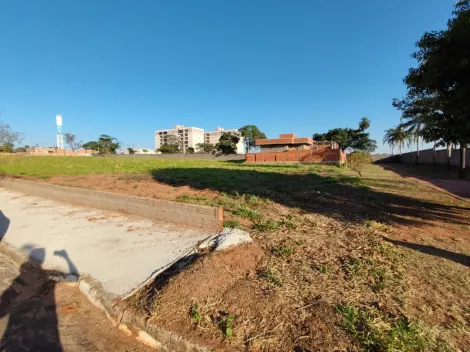 Terreno / Condom&iacute;nio em Mirassol 