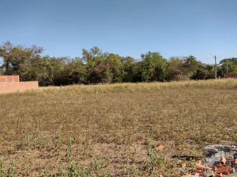 Comprar Terreno / Padr&atilde;o em Sales R$ 197.000,00 - Foto 2