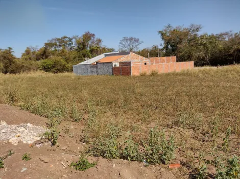 Comprar Terreno / Padr&atilde;o em Sales R$ 197.000,00 - Foto 7